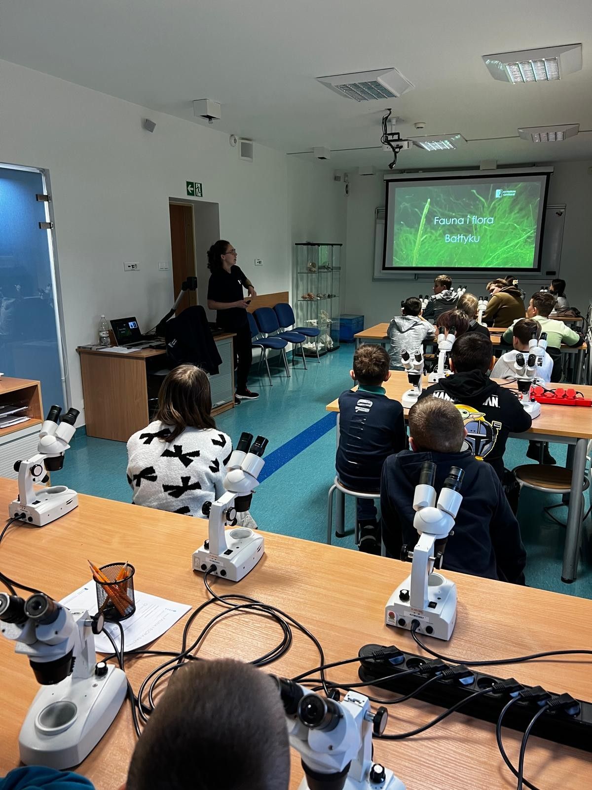 Zdjęcie: Fauna i flora Bałtyku