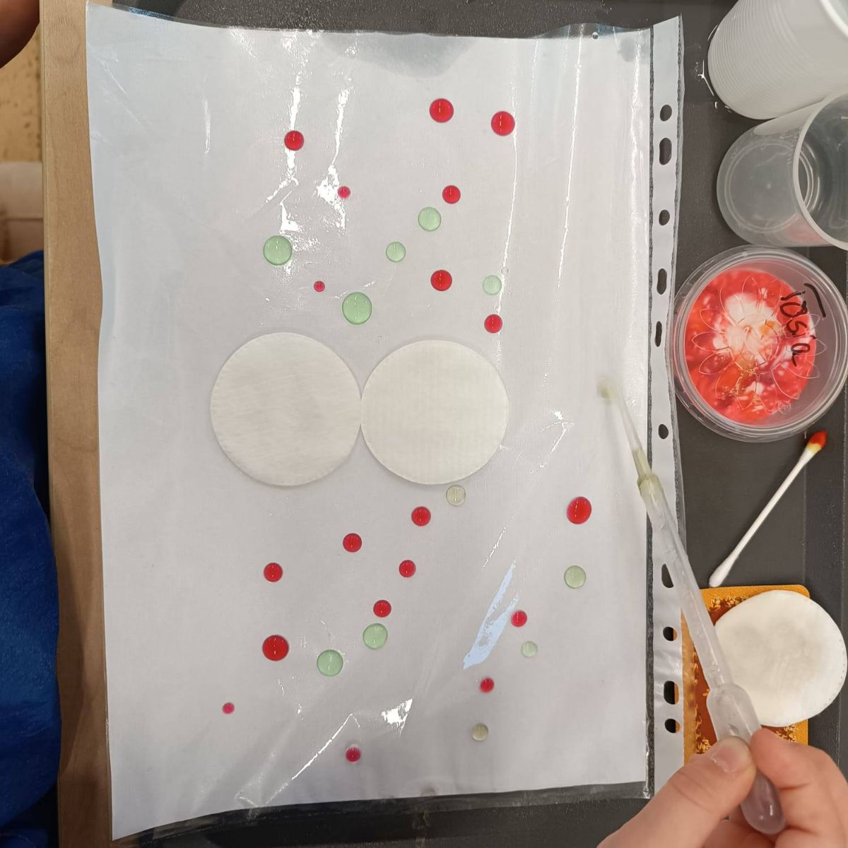 Zdjęcie: Napięcie powierzchniowe