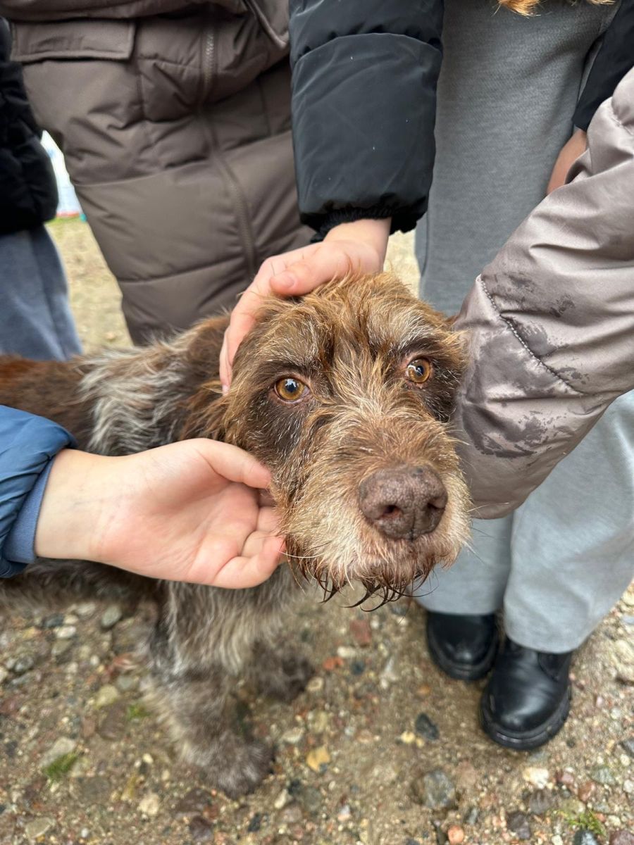 Zdjęcie: OPIEKA NAD ZWIERZĘTAMI