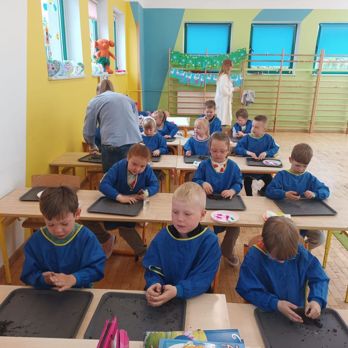 Zdjęcie: EKOLOGICZNA PRZYRODA