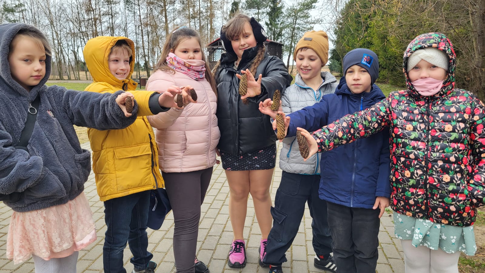 Zdjęcie: MATEMATYKA W PRZYRODZIE